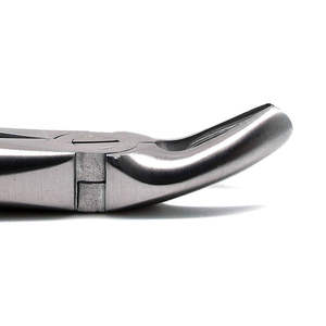 Fórceps de Extracción Dental Manuales de Acero Inoxidable de Alta Calidad OEM, Clase I, Logotipo Personalizado, Certificación CE, Precios Directos de Fábrica, Cirugía - Product Image 4