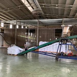 Pimienta de Vietnam de Alta Calidad, Seca, Procesada AD, 13% de Humedad, Bolsas de 1-50 kg, Precio de Fábrica al por Mayor +84 796 855 283 (Sr. Brian) - Product Image 6