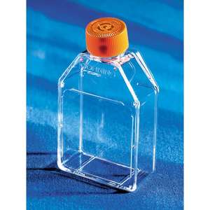 Corning CellBIND 75cm2 Flacon de culture cellulaire à col incliné rectangulaire avec bouchon d'aération Flacon de 75cm2 - Product Image 4