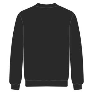 HBCU Alpha Educated Chenille Sudadera Negro Pan African Gold Bordado Premium Cotton Greek Fraternity Divine Nine Apparel - Product Image 4