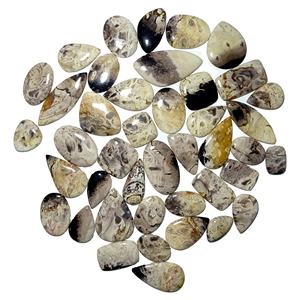 หินอัญมณีฟอสซิลรากปาล์มธรรมชาติที่สวยงามอัญมณีหลวมรูปร่างผสมรากปาล์มฟอสซิลอัญมณีใช้ทำอัญมณี - Product Image 1