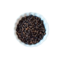 100% Natürlicher Schwarzer Chili-Pfeffer Getrocknet Roh Verarbeitet Bester Preis Ganze Gewürze & Kräuter FD-Verarbeitet 1kg Maharashtra Indien