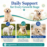 Comprimés de calcium pour la croissance des chiots, saveur poulet, développement osseux des animaux de compagnie, supplément multivitaminé, OEM