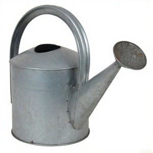 Regadera galvanizada de superficie texturizada con curva de mango elegante y cuello extendido para una distribución controlada del agua - Product Image 5