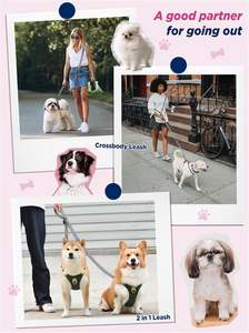 Correa para Perro Manos Libres Clásica de 3 Metros, con Correa Cruzada para la Cintura, Ajustable, con Mango Amortiguador de Impactos, Ligera - Product Image 5