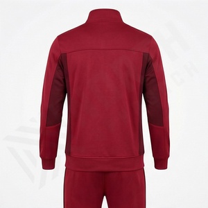 Produit populaire, vêtements de sport de bonne qualité, survêtements pour hommes, couleur personnalisée, respirant, léger, ensemble deux pièces à manches longues - Product Image 2