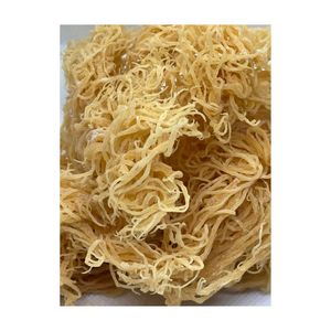 Pure Irish Sea Moss (Seamoss Gold-Purple) Flavored FD Bulk Packed 10% <b>Flash</b> <b>Sale</b> for Spring Festival Carrageen Moss - Product Image 1