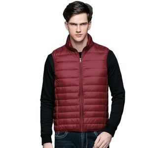 Veste matelassée légère et respirante pour homme avec col montant, manches longues, chaleur décontractée, style d'hiver, design de rue - Product Image 1