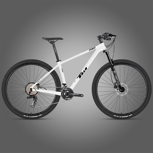 Vélos de montagne en fibre de carbone TWITTER 2025 à prix réduit, fabriqués en Chine, pour adultes, 2*12 vitesses, plateaux 28-38T, alliage de magnésium, 29 (27,5) <span class=keywords><strong>pouces</strong></span> - Product Image 1