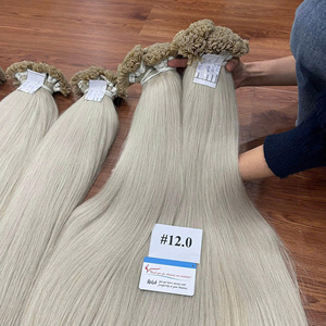 2025 Fournisseur Chaud Kératine Pointe Extensions De Cheveux Humains Vietnamien Remy Cheveux Pre Bond Double Dessiné Pointe Plate Hairshop Couleur - Product Image 3