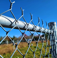 Clôture en treillis galvanisé directement de l'usine pour la sécurité des fermes agricoles et la protection du bétail