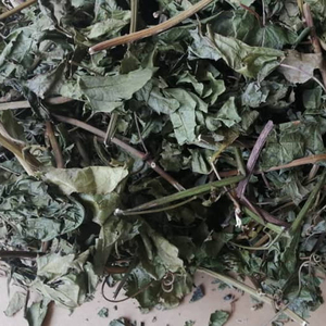 <span class=keywords><strong>Passiflora</strong></span> foetida lá - Product Image 2