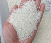 Vente en gros disponible Emballage de la marque du membre-Premium Thai Jasmine Riz Parfumé Échantillon gratuit Contacter Mme Mai Pham Vilaconic