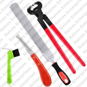 Kit de herrador profesional, Kit de herramientas de aseo para pies de caballo, instrumentos veterinarios personalizados completos, juegos de herramientas de herrador de la mejor calidad - Product Image 6