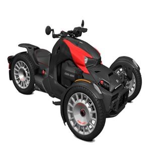 BEST OFFER for Can-A-<b>m</b> Ryker Rally Rotax 900 ACE - Product Image 2