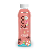 Purée de pastèque d'eau de noix de coco naturelle 100% bouteille de 600ml OEM Tan Do boisson jus de légumes fruits tropicaux Ben Tre Vietnam