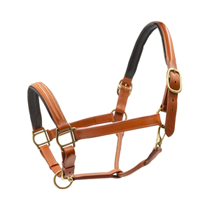 Harnais souple et résistant pour chevaux, design en nylon réglable, boucles confortables pour l'entraînement et le contrôle en équitation. - Product Image 2