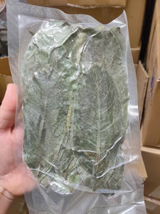 Feuilles de corossol de qualité supérieure pour la préparation du thé - Product Image 2