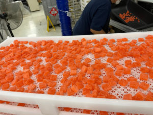 TGMachine2024 Máquina de fabricación de gominolas suaves y gominolas de vitamina de diseño higiénico compacto - Product Image 2