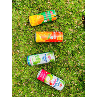 Eau de coco biologique aromatisée en purée 330ml OEM ODM Vente en gros Bon prix Haute qualité Eau de fruits provenant d'un fournisseur vietnamien