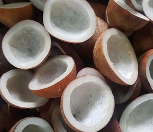 Copra de Coco Seca Comestible de la Mejor Calidad, 100% Natural, con Alta Calidad y Buen Precio, de Indonesia - Product Image 6