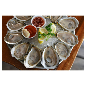 Fresh Oysters in <b>Bulk</b> Frozen Shellfish with Sesame Oil Quality Wholesale Sale at Good Prices - Product Image 1