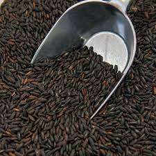 Riz noir biologique texture dure style séché-riz sain prêt pour l'exportation en gros - Product Image 6