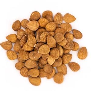 Granos de albaricoque a granel a la venta a un precio razonable adecuados para el procesamiento - Product Image 2