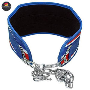 Chaîne de ceinture d'haltérophilie personnalisée avec logo propre personnalisé néoprène soutien dorsal exercice de gymnastique Fitness entraînement ceinture de levage - Product Image 5