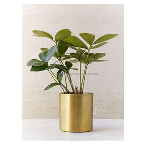 Pot à vin en laiton de collection antique décoration artisanale Jardinières en métal en laiton Meilleure décoration de sol Pots de conception intérieure et extérieure - Product Image 4