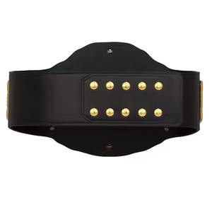 เข็มขัดแชมป์โลกรุ่น2025น้ำหนักรุ่นใหญ่เข็มขัดมวยปล้ำทองคำขนาด4มม. สำหรับผู้ใหญ่ - Product Image 2