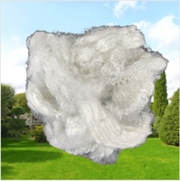 Fibre de polyester creuse conjuguée recyclée 10D 64mm non siliconée ignifuge PSF pour le rembourrage de textiles de maison et de vêtements