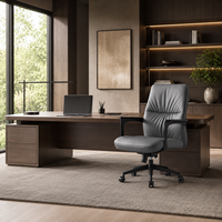 Chaise d'attente de bureau avec base en traîneau et accoudoirs fixes pour fournisseur de mobilier de réception et de conférence