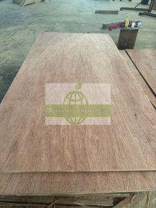 Contreplaqué de qualité intérieure Vietnam Bintangor avec âme en eucalyptus - Product Image 3