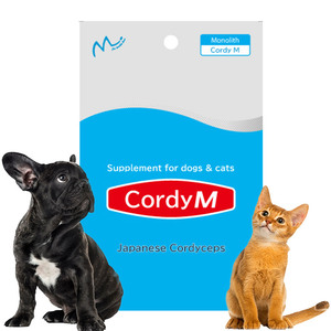 Cordy m-nhật bản Đông trùng hạ thảo bổ sung cho chó và mèo | sức khỏe vật nuôi duy trì | miễn dịch hỗ trợ - Product Image 1