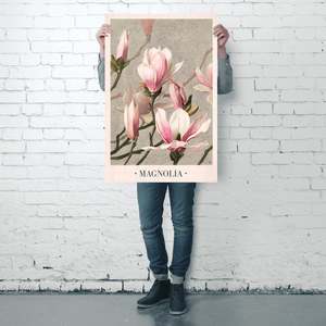 Póster moderno vintage de Magnolia L. Prang & Co 1886, impresión en acuarela, 61x91,5 cm - Product Image 3