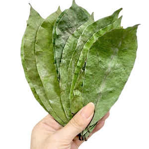 Thé aux feuilles de corossol séchées, thé aux herbes naturel du Vietnam - Product Image 1