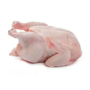 Top Selling Premium Halal Frozen Whole Chicken, Chicken Feet, Paws, Wings