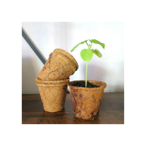 PRECIO BARATO MEJOR CALIDAD VIETNAMESA COIR MACETA FLOR FIBRA DE COCO DE BLUE LOTUS FARM 2023 - Product Image 5