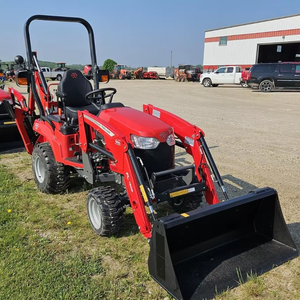 Tractor Massey Ferguson 1GC.25 con componentes centrales-Bomba y caja de cambios Precio competitivo - Product Image 6