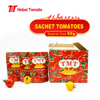 Sachet personnalisé sachet de pâte de tomate Afrique/Moyen-Orient Market Focus Sachet Tomates Conteneurs Prix