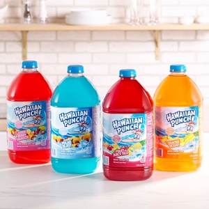 Boisson rafraîchissante au punch aux fruits, 1 gallon en bouteille, saveurs mélangées pour la restauration à domicile et les fêtes - Product Image 1