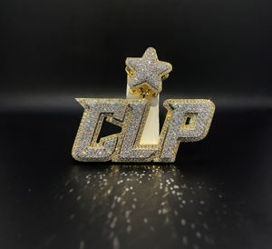 Colgante de Acero Inoxidable con Diamantes de Imitación Personalizado, Estilo Hip Hop - Product Image 2