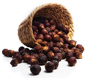 Fábrica de Producción a Granel de Sapindus Saponaria en Vietnam/vacaciones - Product Image 6