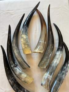 Cuerno para beber con diseño de animales, imitación antigua, símbolos vikingos, pulido, concha tallada, artesanía natural, material orgánico, tipo sal - Product Image 2