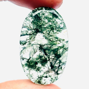 Hecho a mano Natural musgo ágata cabujón mezcla forma musgo ágata piedras preciosas sueltas de todos los tamaños para la fabricación de colgantes de joyería - Product Image 3