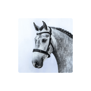 Venta al por mayor, brida plegable anatómica, ajustable, cuero genuino, producto de caballo a la venta - Product Image 1