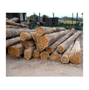 Troncos de madera Sapele al por mayor, de alta calidad - Product Image 2