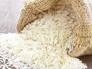 ข้าวบาสมาติเวียดนามพรีเมียมพิเศษ ยาวพิเศษ แบบสด  มีจำหน่ายสำหรับการสั่งซื้อจำนวนมาก - Product Image 4
