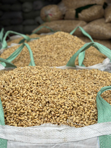 Anacardos frescos ricos en nutrientes de calidad superior y que cumplen con los estándares de exportación, una excelente opción de refrigerio saludable - Product Image 3